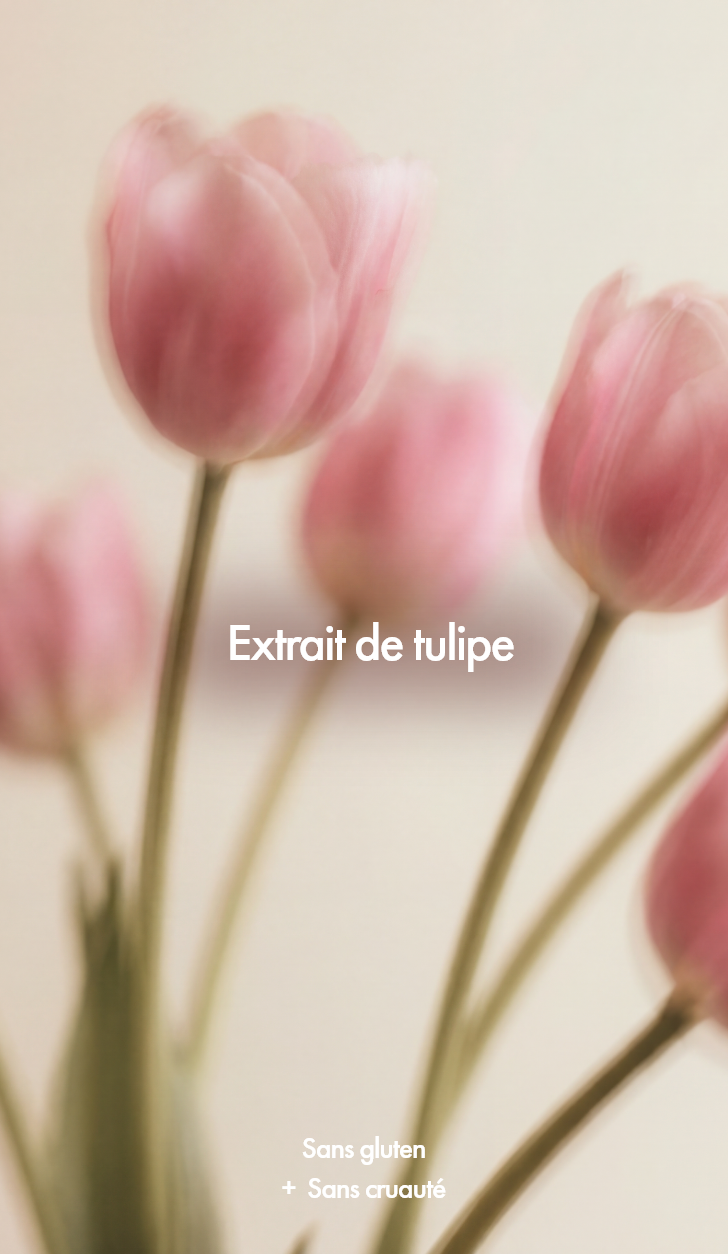  les Smooth Control Set de Keune  pour des cheveux lisses et soyeux